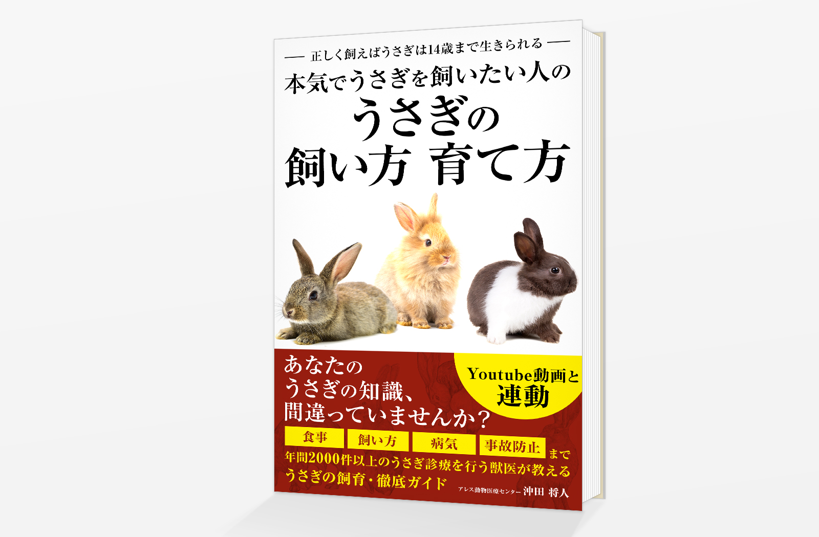 Kindle電子書籍「本気でうさぎを飼いたい人の うさぎの飼い方 育て方: 正しく飼えばうさぎは14歳まで生きられる」の表紙デザイン